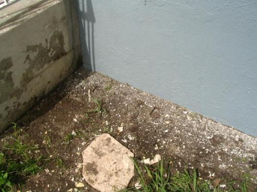 Lead in soil in Los Angeles